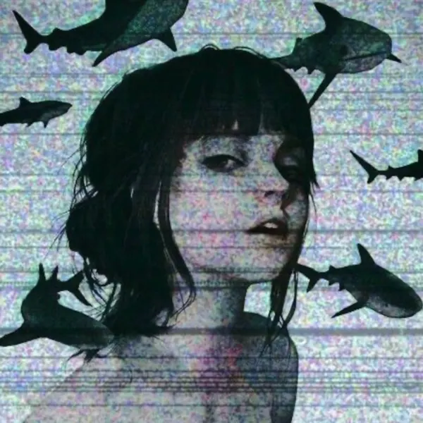 Baby Shark