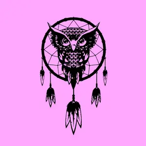 Dreamcatcher 2