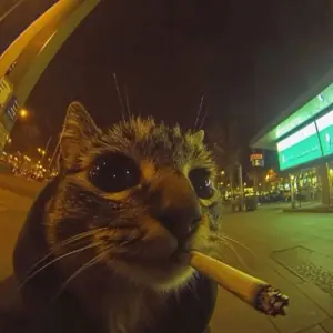 Panic Mode