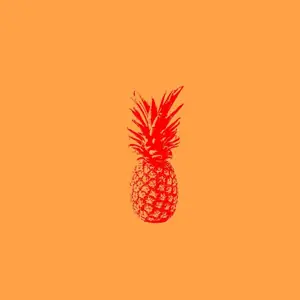Summer Vibes