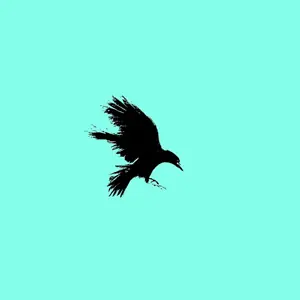 The Crow
