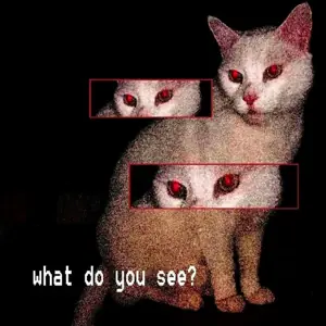 What Do You See