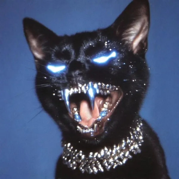 Wildcat